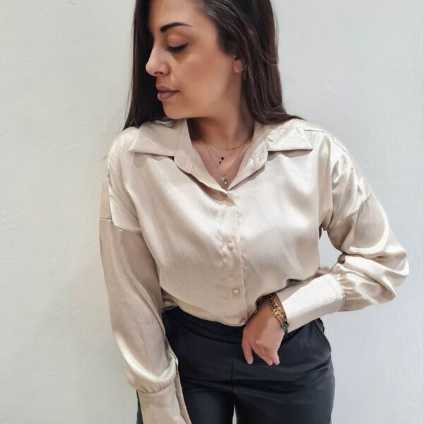 Πουκάμισο Σατέν σε 3 Αποχρώσεις